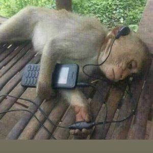 Meet your Posher, Jen